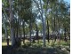 12927 Gwydir Highway, Warialda NSW 2402