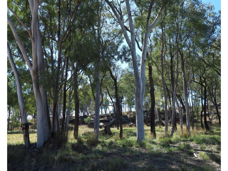12927 Gwydir Highway, Warialda NSW 2402
