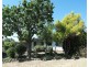 91 High Street, Warialda NSW 2402