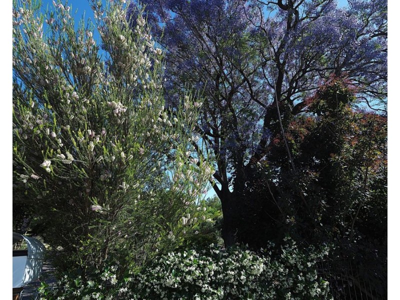 11 Finch Street, Bingara NSW 2404