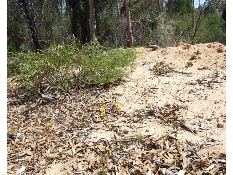 Lot 23 Melrose Estate Road, Warialda NSW 2402