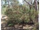 Lot 23 Melrose Estate Road, Warialda NSW 2402