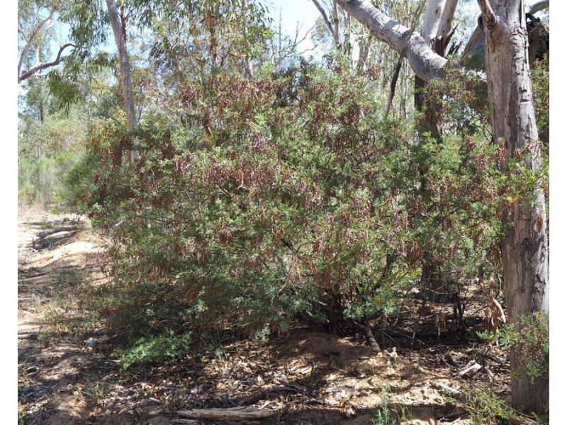 Lot 23 Melrose Estate Road, Warialda NSW 2402