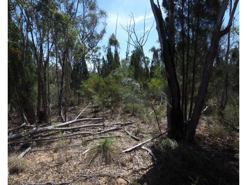 Lot 23 Melrose Estate Road, Warialda NSW 2402