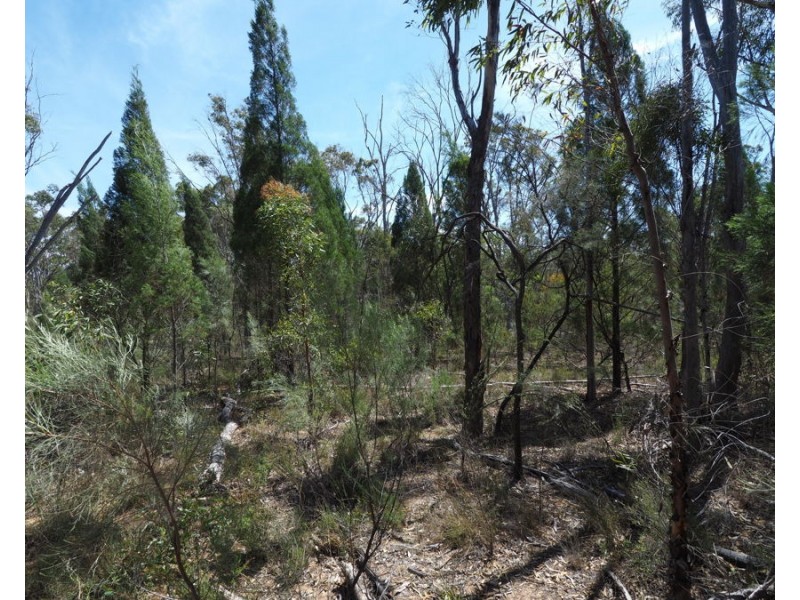 Lot 23 Melrose Estate Road, Warialda NSW 2402