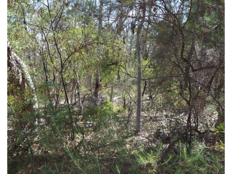 Lot 23 Melrose Estate Road, Warialda NSW 2402