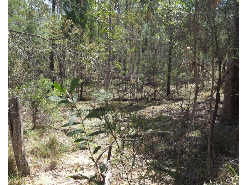 Lot 23 Melrose Estate Road, Warialda NSW 2402