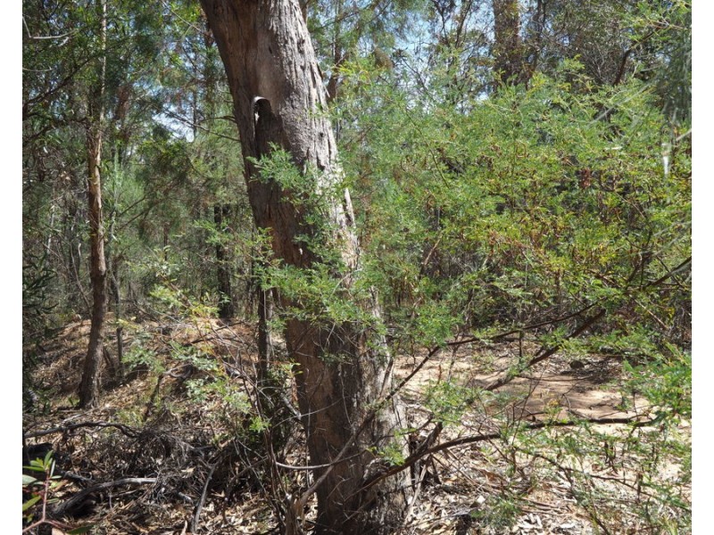 Lot 23 Melrose Estate Road, Warialda NSW 2402