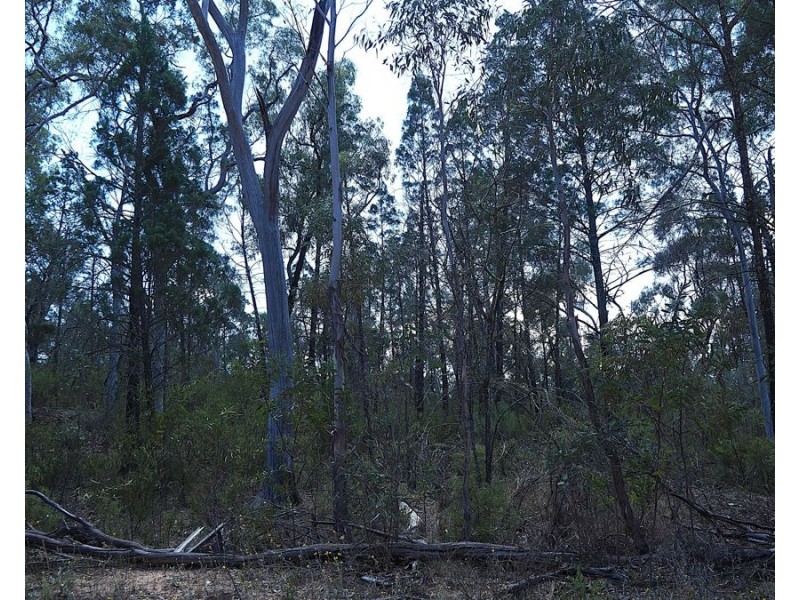 Lot 23 Melrose Estate Road, Warialda NSW 2402