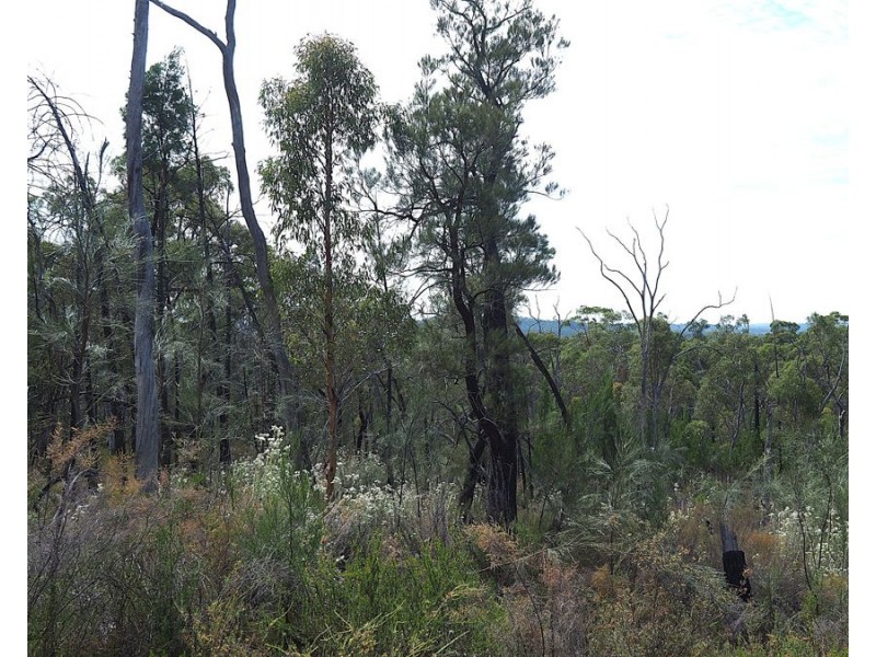 221 Fairford Road, Warialda NSW 2402