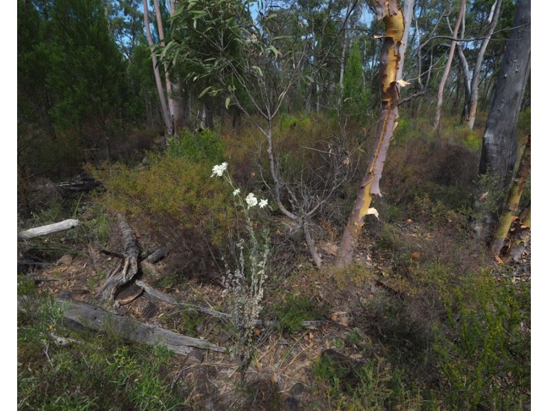 221 Fairford Road, Warialda NSW 2402