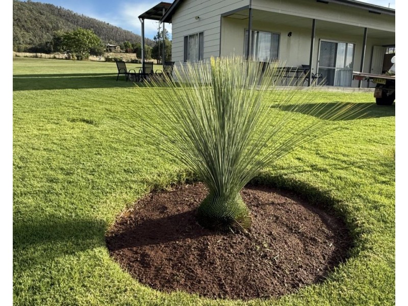 14 Old Keera Road, Bingara NSW 2404