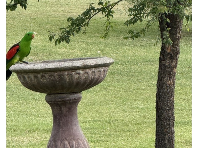 14 Old Keera Road, Bingara NSW 2404