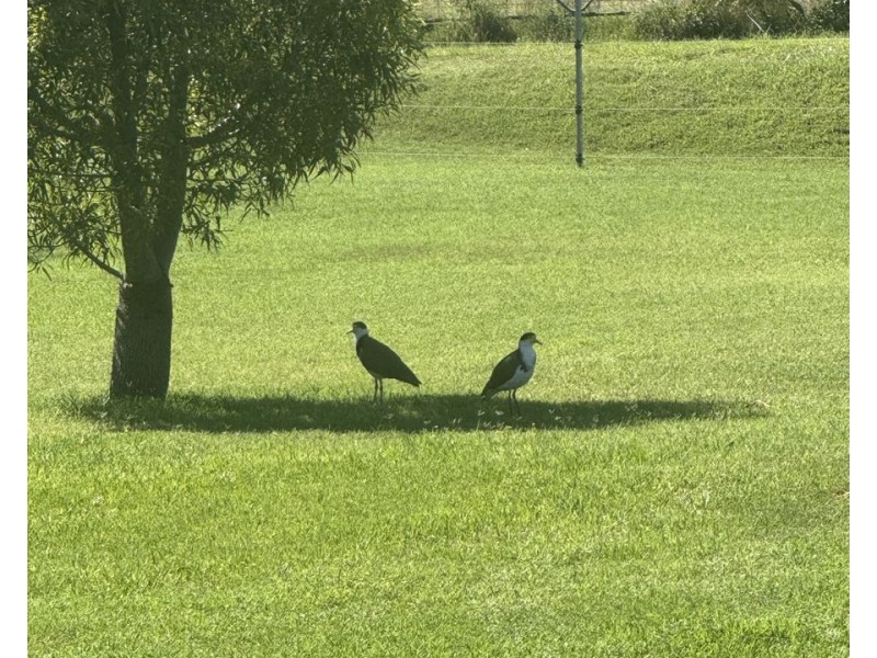 14 Old Keera Road, Bingara NSW 2404