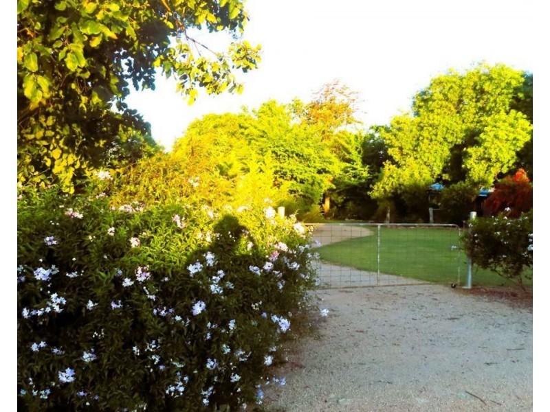 12 Dinoga Street, Bingara NSW 2404