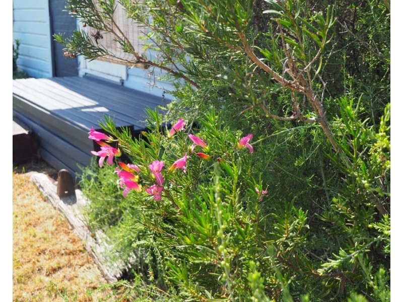 2 Railway Parade, Warialda Rail NSW 2402