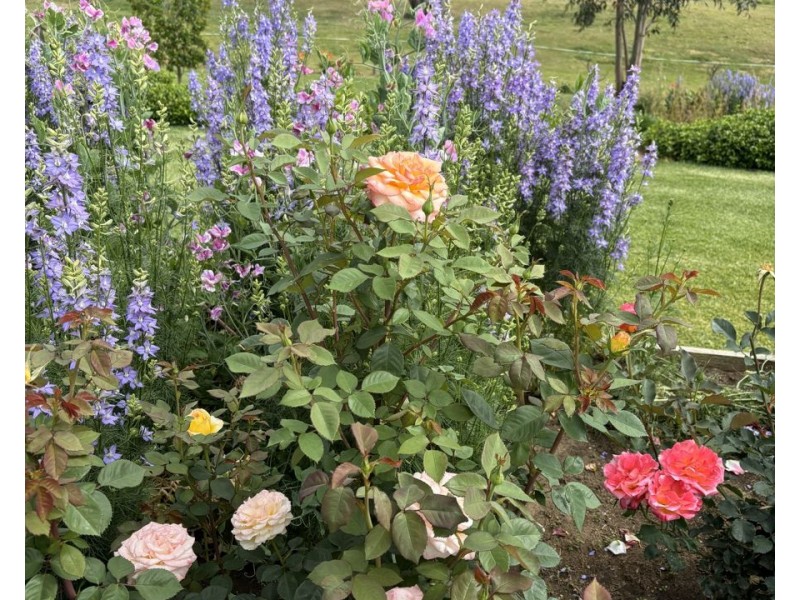 21 Keera Street, Bingara NSW 2404