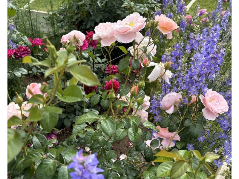 21 Keera Street, Bingara NSW 2404