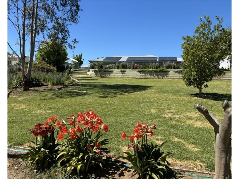 21 Keera Street, Bingara NSW 2404