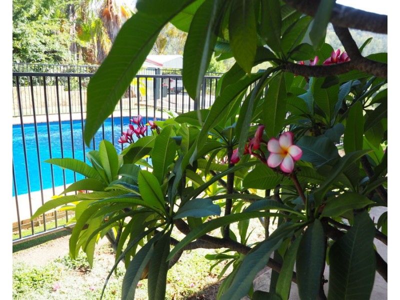 8 White Street, Bingara NSW 2404