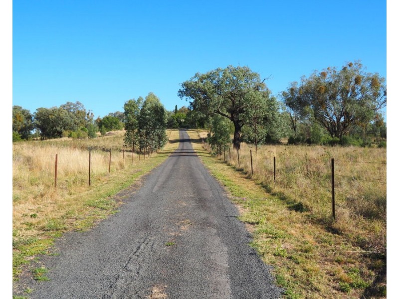 8 White Street, Bingara NSW 2404
