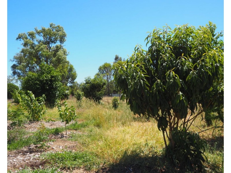 Warialda Rail NSW 2402