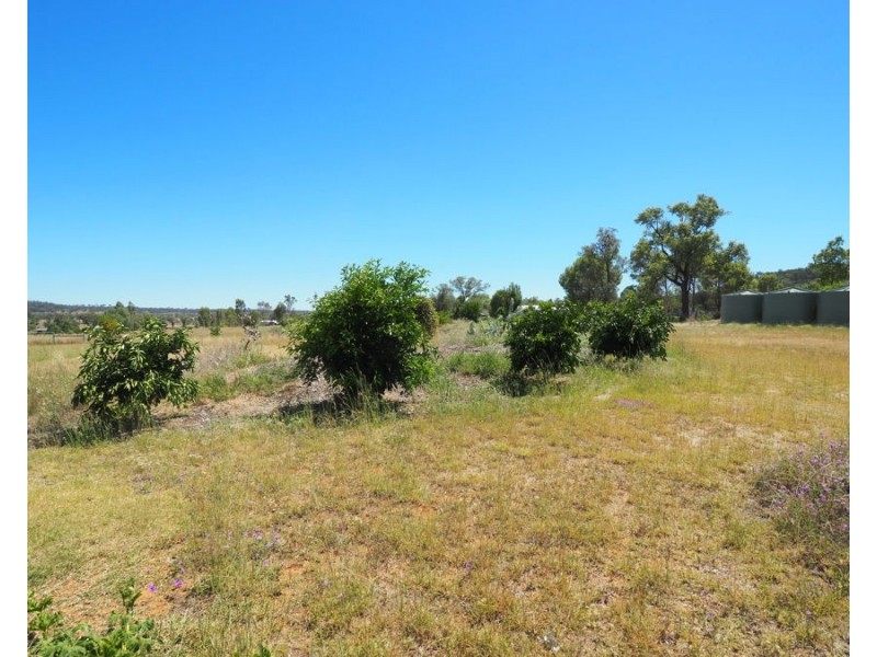 Warialda Rail NSW 2402