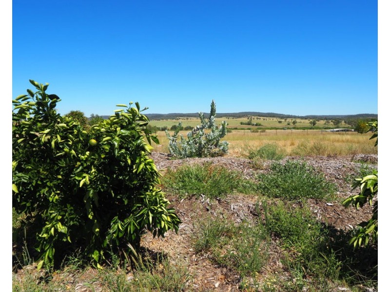 Warialda Rail NSW 2402