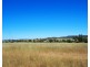 Warialda Rail NSW 2402