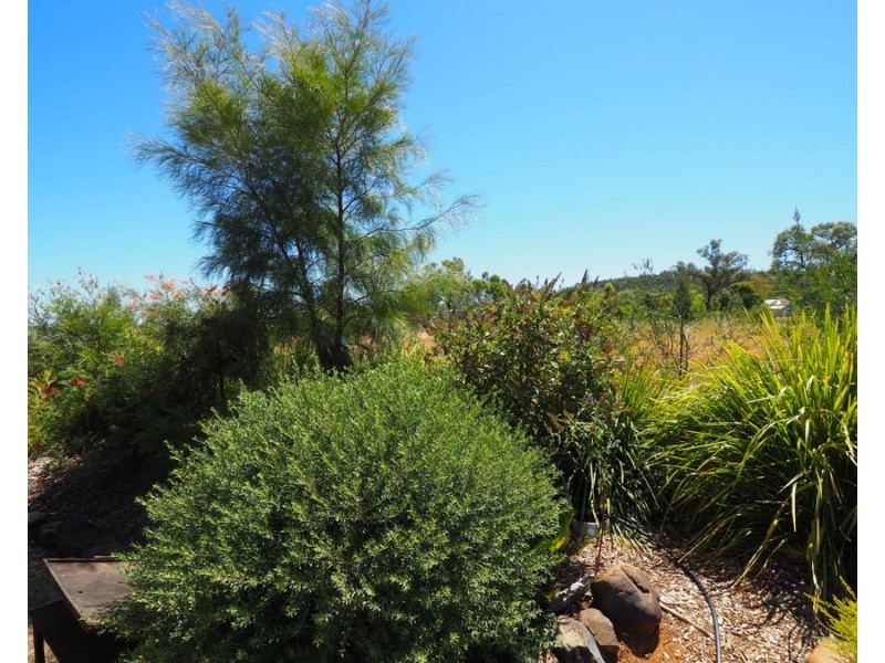 Warialda Rail NSW 2402