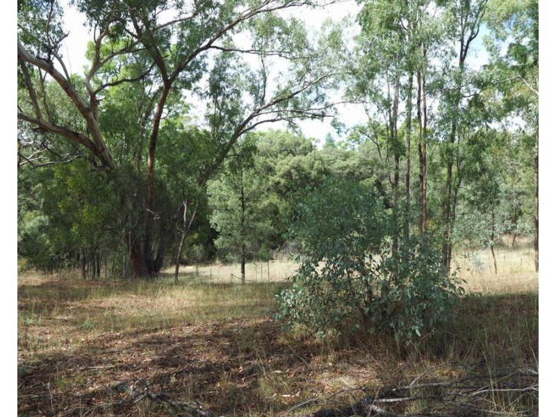 288 Fairford Road, Warialda NSW 2402