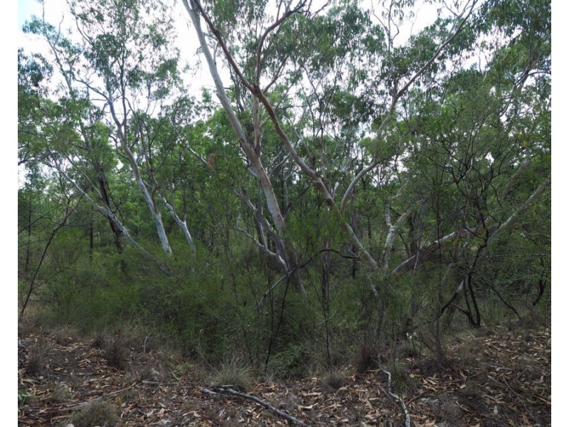 288 Fairford Road, Warialda NSW 2402