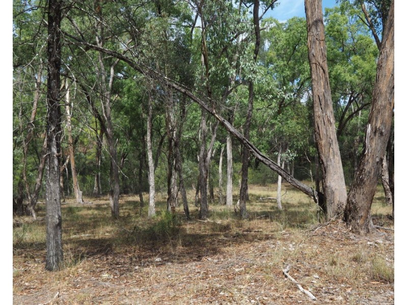 288 Fairford Road, Warialda NSW 2402