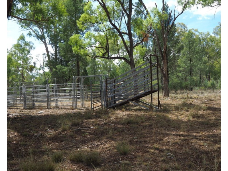 288 Fairford Road, Warialda NSW 2402