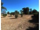 83-91 Bingara Road, Warialda Rail NSW 2402