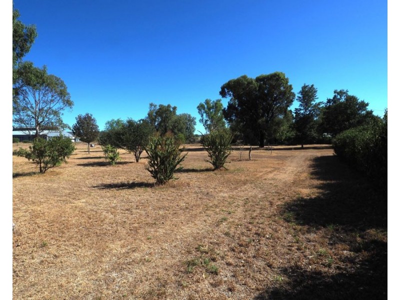 83-91 Bingara Road, Warialda Rail NSW 2402