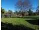 115 Long Street, Warialda NSW 2402