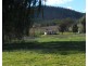 184 Old Bora Road, Bingara NSW 2404