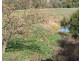 184 Old Bora Road, Bingara NSW 2404