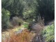 184 Old Bora Road, Bingara NSW 2404