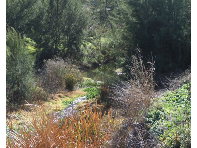 184 Old Bora Road, Bingara NSW 2404