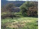 184 Old Bora Road, Bingara NSW 2404