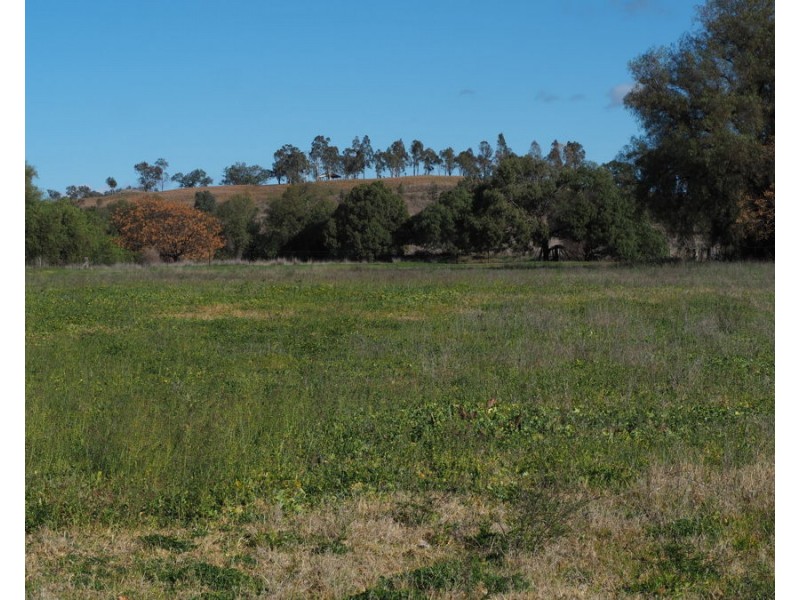 184 Old Bora Road, Bingara NSW 2404