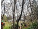 8 East Street, Bingara NSW 2404