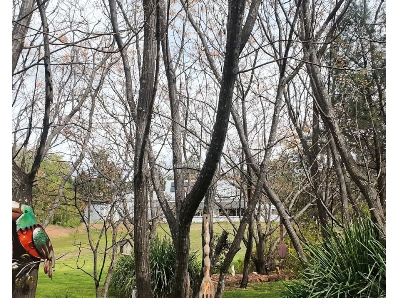 8 East Street, Bingara NSW 2404