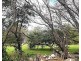 8 East Street, Bingara NSW 2404