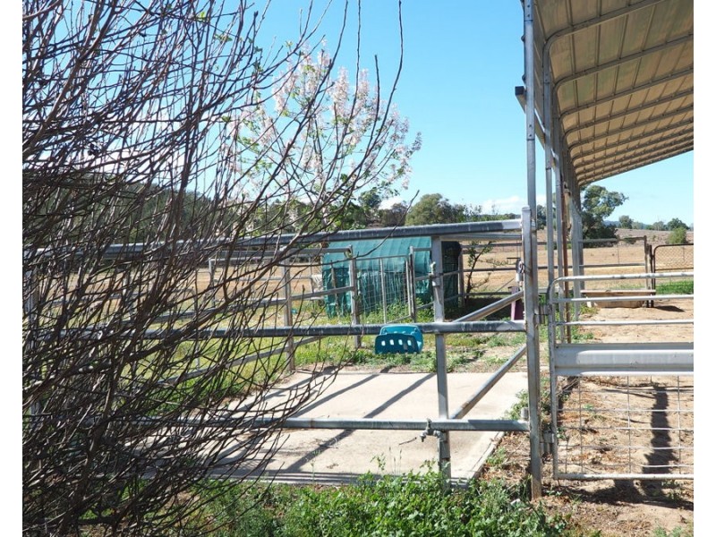 8 Cunningham Street, Bingara NSW 2404