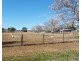 8 Cunningham Street, Bingara NSW 2404