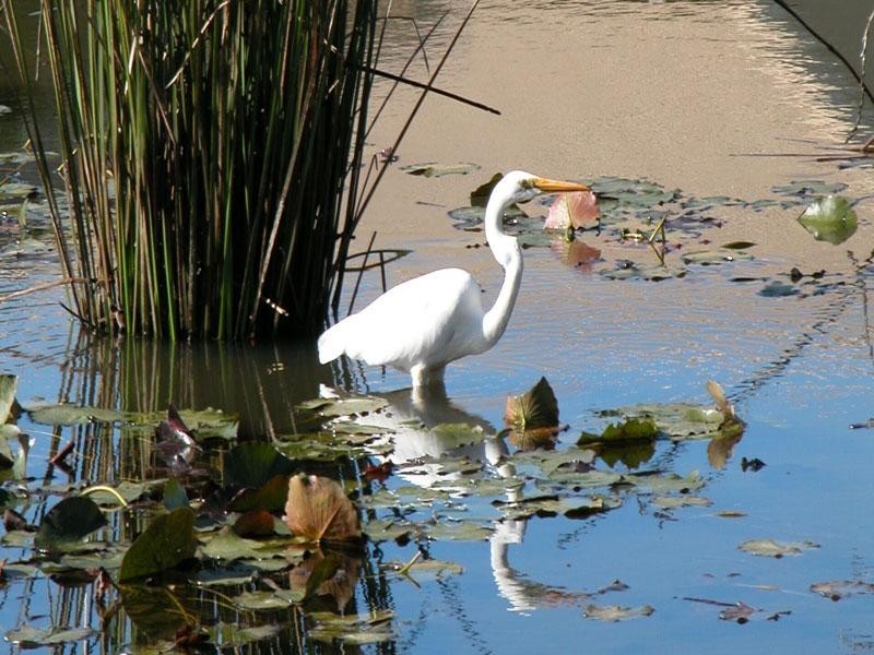 Lot 4 The Haven, Tea Gardens NSW 2324