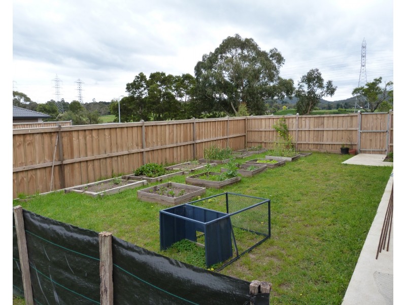 117 Peck Road, Officer VIC 3809